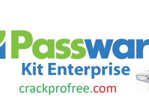 Passware Password Recovery Crack